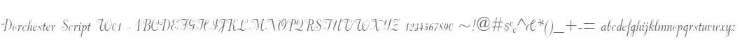 Dorchester Script W01