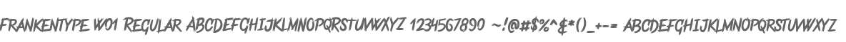 Frankentype W01 Regular