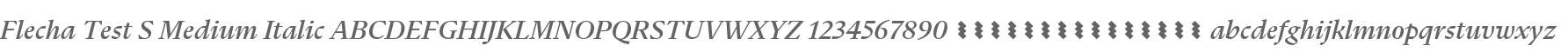 Flecha Test S Medium