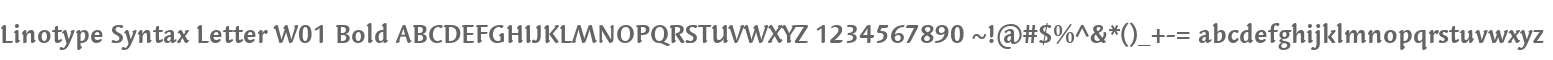 Linotype Syntax Letter W01 Bold