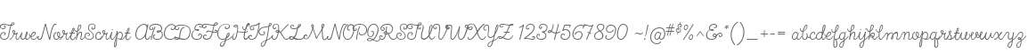 TrueNorthScript