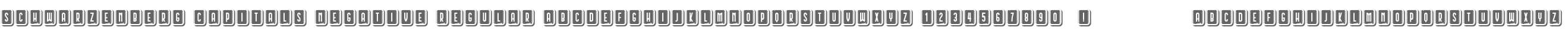 Schwarzenberg Capitals Negative Regular