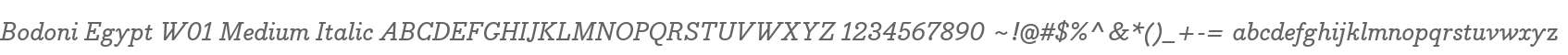 Bodoni Egypt W01 Medium Italic