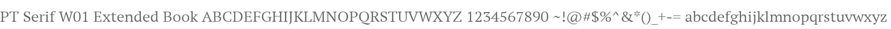 PT Serif W01 Extended Book