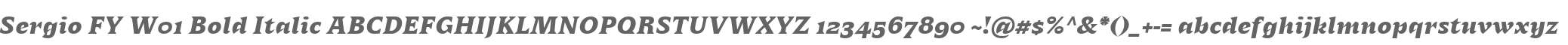 Sergio FY W01 Bold Italic
