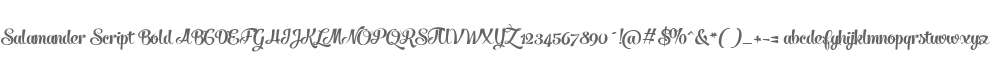 Salamander Script Bold