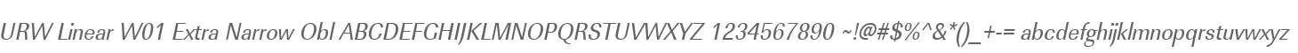 URW Linear W01 Extra Narrow Obl