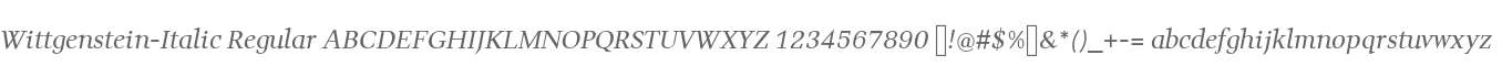 Wittgenstein-Italic Regular