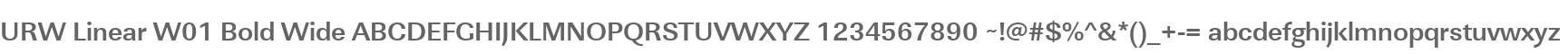 URW Linear W01 Bold Wide