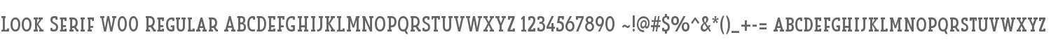 Look Serif W00 Regular
