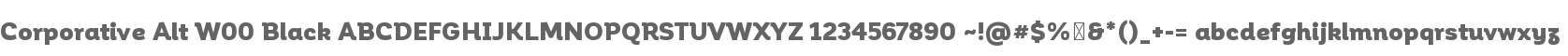 Corporative Alt W00 Black