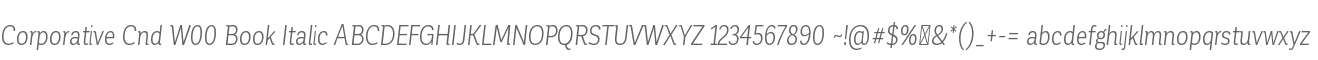 Corporative Cnd W00 Book Italic