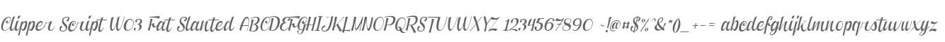 Clipper Script W03 Fat Slanted