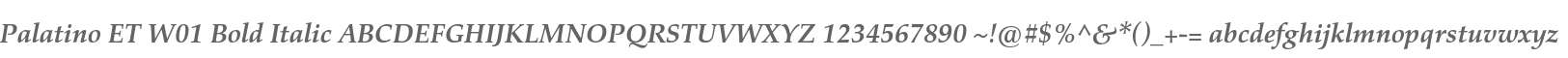 Palatino ET W01 Bold Italic