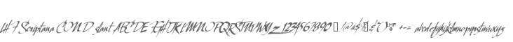 LHF Scriptana COND slant
