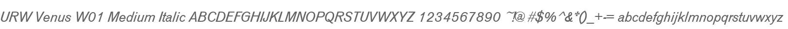 URW Venus W01 Medium Italic