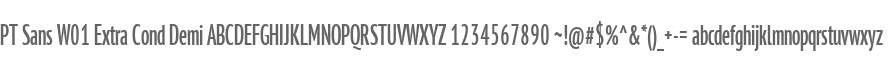 PT Sans W01 Extra Cond Demi