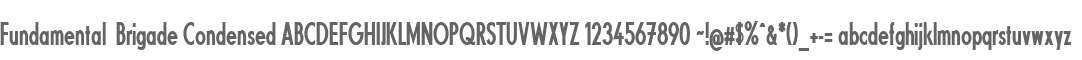 Fundamental  Brigade Condensed