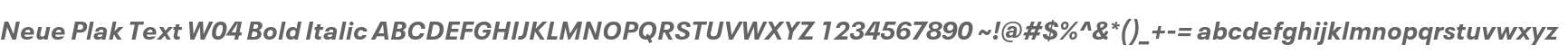 Neue Plak Text W04 Bold Italic