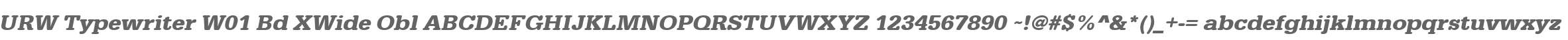 URW Typewriter W01 Bd XWide Obl