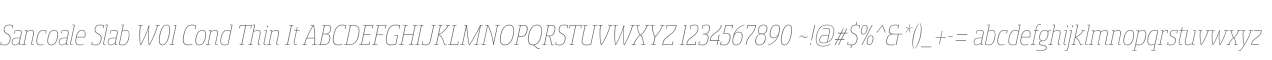 Sancoale Slab W01 Cond Thin It