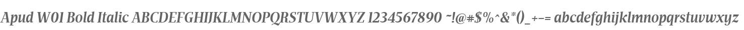 Apud W01 Bold Italic
