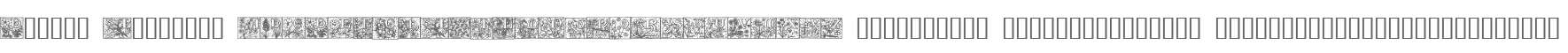 Durbin Initials