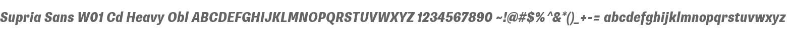 Supria Sans W01 Cd Heavy Obl