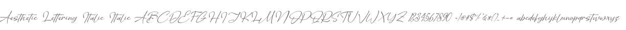 Aesthetic Lettering Italic