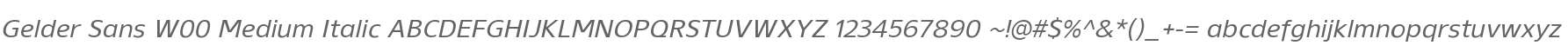 Gelder Sans W00 Medium Italic