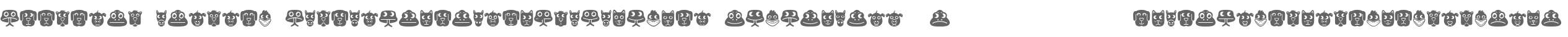 Animales Regular