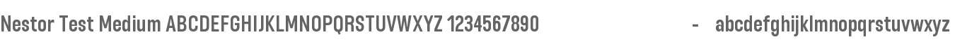 Nestor Test Medium