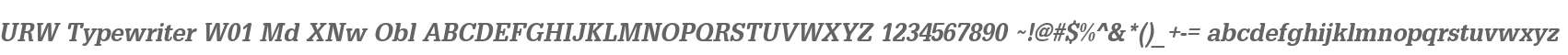 URW Typewriter W01 Md XNw Obl