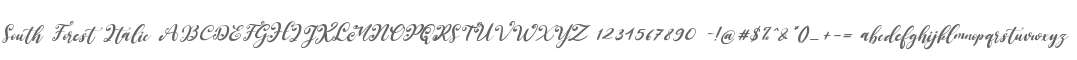 South Forest Italic