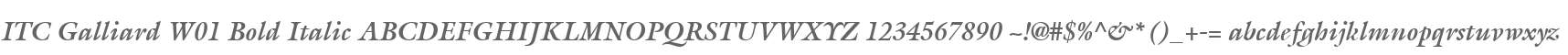 ITC Galliard W01 Bold Italic
