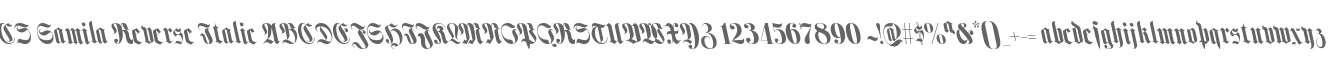 CS Gamila Reverse Italic