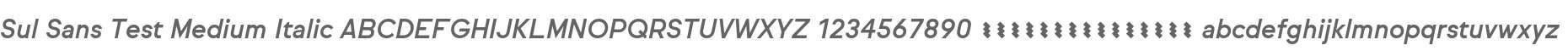 Sul Sans Test Medium