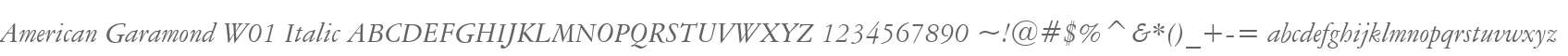 American Garamond W01 Italic