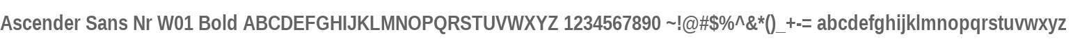 Ascender Sans Nr W01 Bold