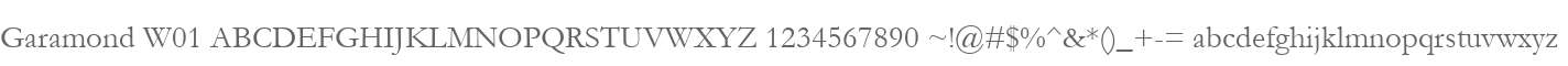 Garamond W01