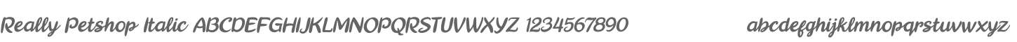 Really Petshop Italic