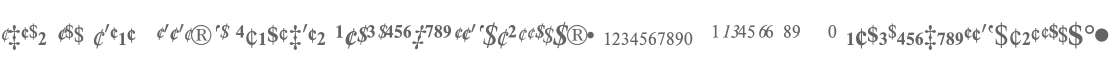 Times New Roman* MONOTYPE Fractions