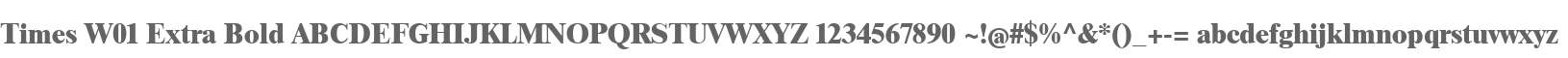 Times W01 Extra Bold