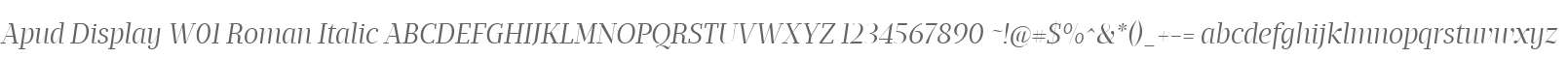 Apud Display W01 Roman Italic