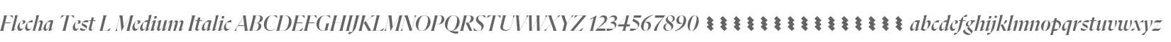 Flecha Test L Medium