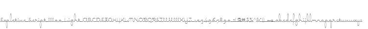 Expletive Script W00 Light