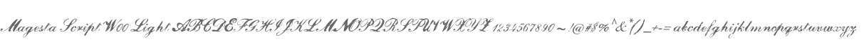 Magesta Script W00 Light