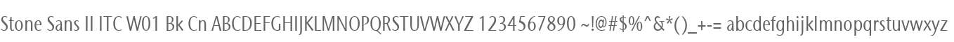 Stone Sans II ITC W01 Bk Cn