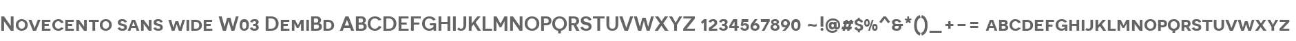 Novecento sans wide W03 DemiBd