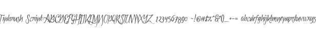 Tipbrush Script